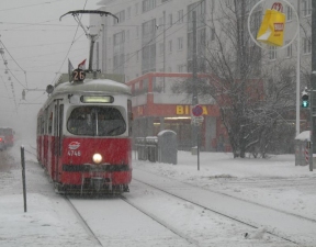 Schnee am 1. 12. 2010 in der Langobardenstraße 6
