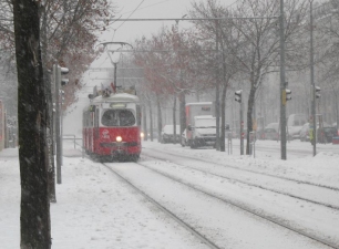 Schnee am 1. 12. 2010 in der Langobardenstraße 7