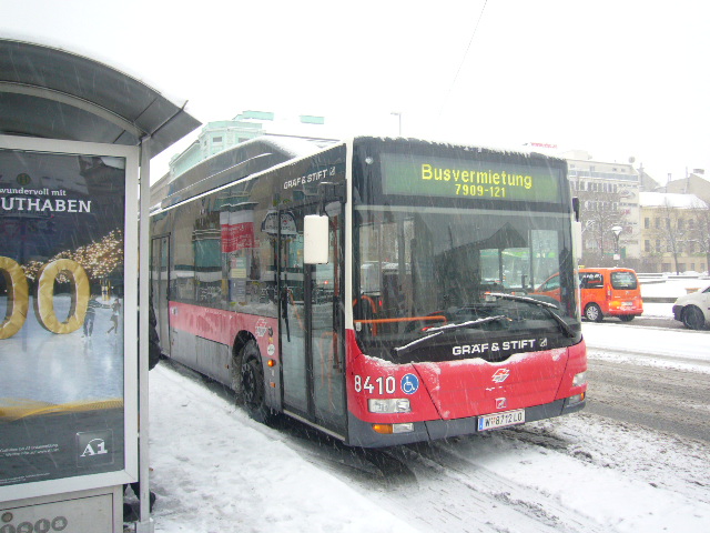 Winter Fotos 2010 2