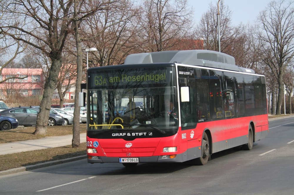 Vorheriges Bild
