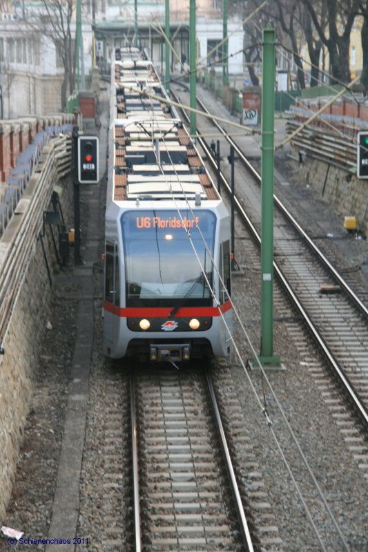 T1
