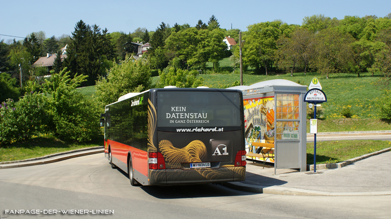Bild 05