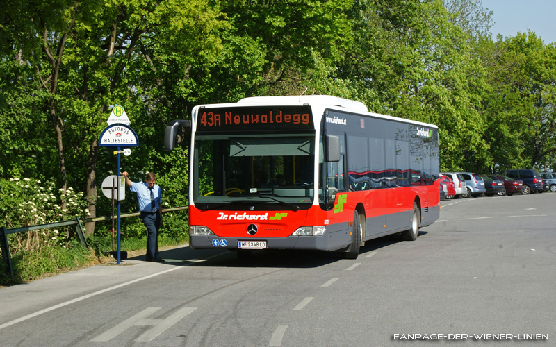 Bild 17