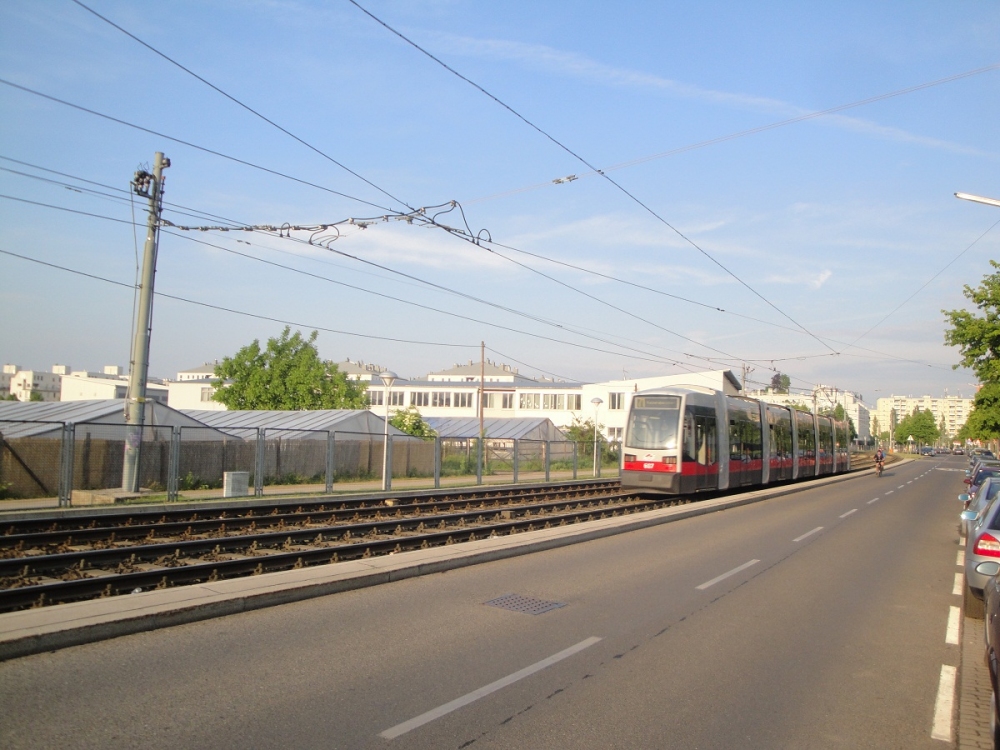 B am 71 2