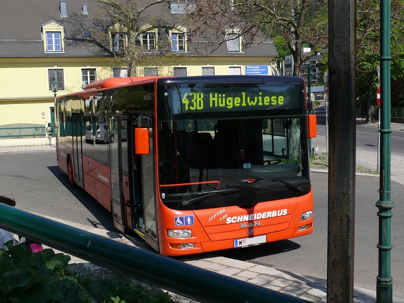 Die Autobuslinie 43B