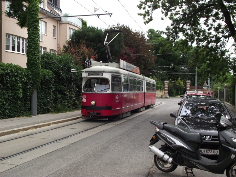 4836 - Linie 37