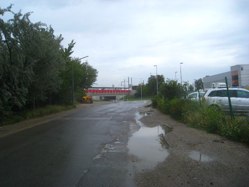 Blumental 2011 (11)