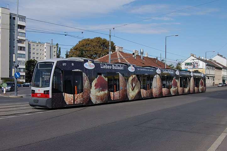 677 (Der Mann) - Bild 01