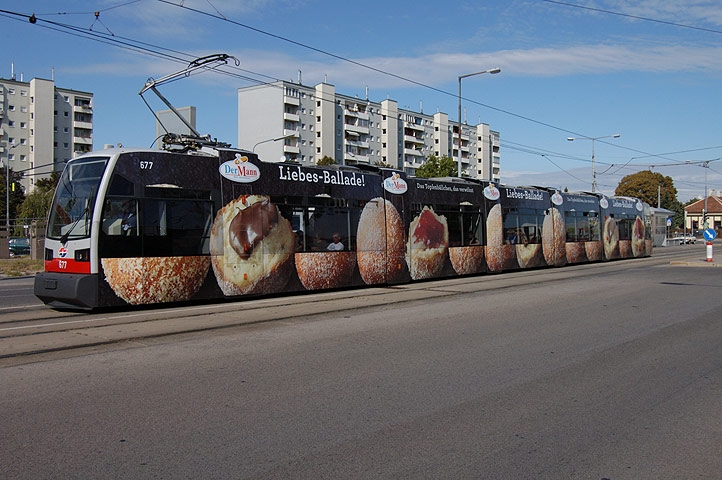 677 (Der Mann) - Bild 02