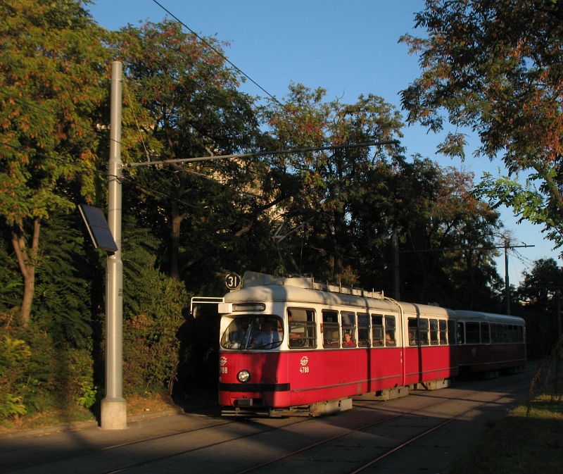 31er Czernetzplatz 1