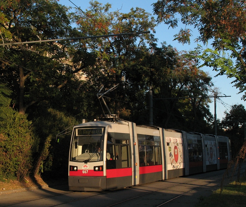 31er Czernetzplatz 2