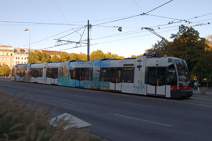 620 (Ägypten) - Bild 02