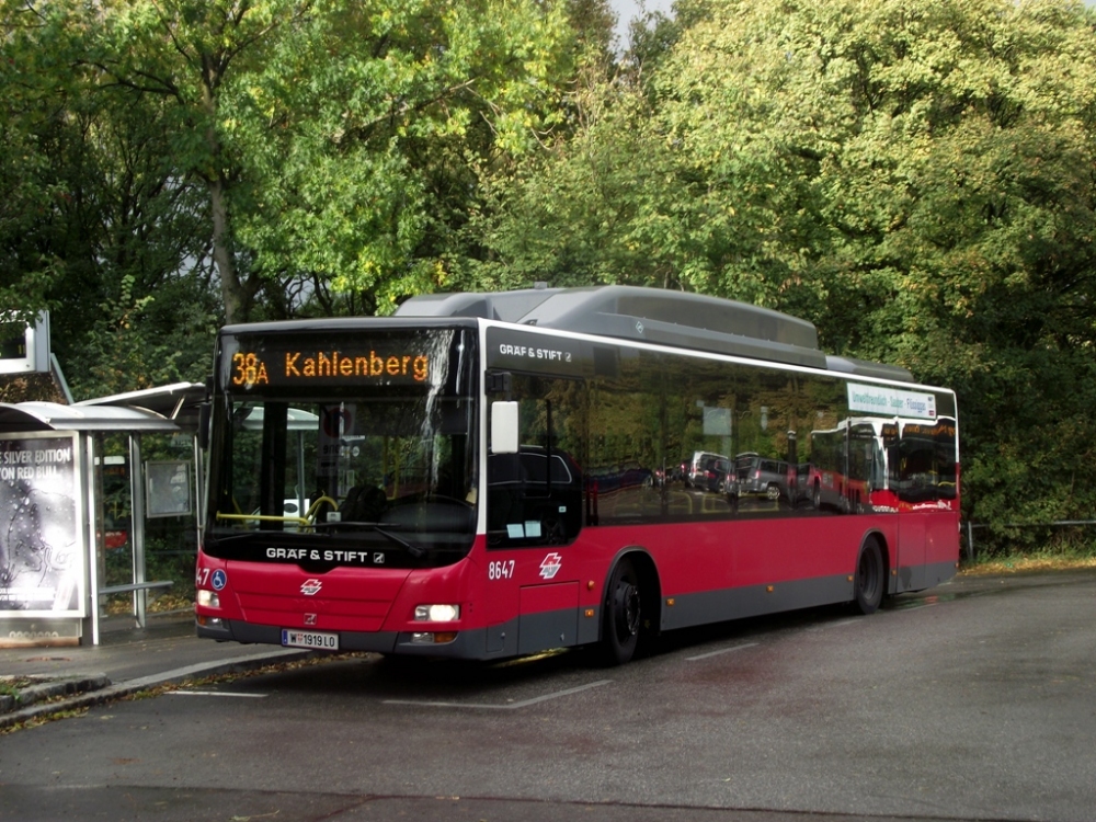 8647 - Linie 38A