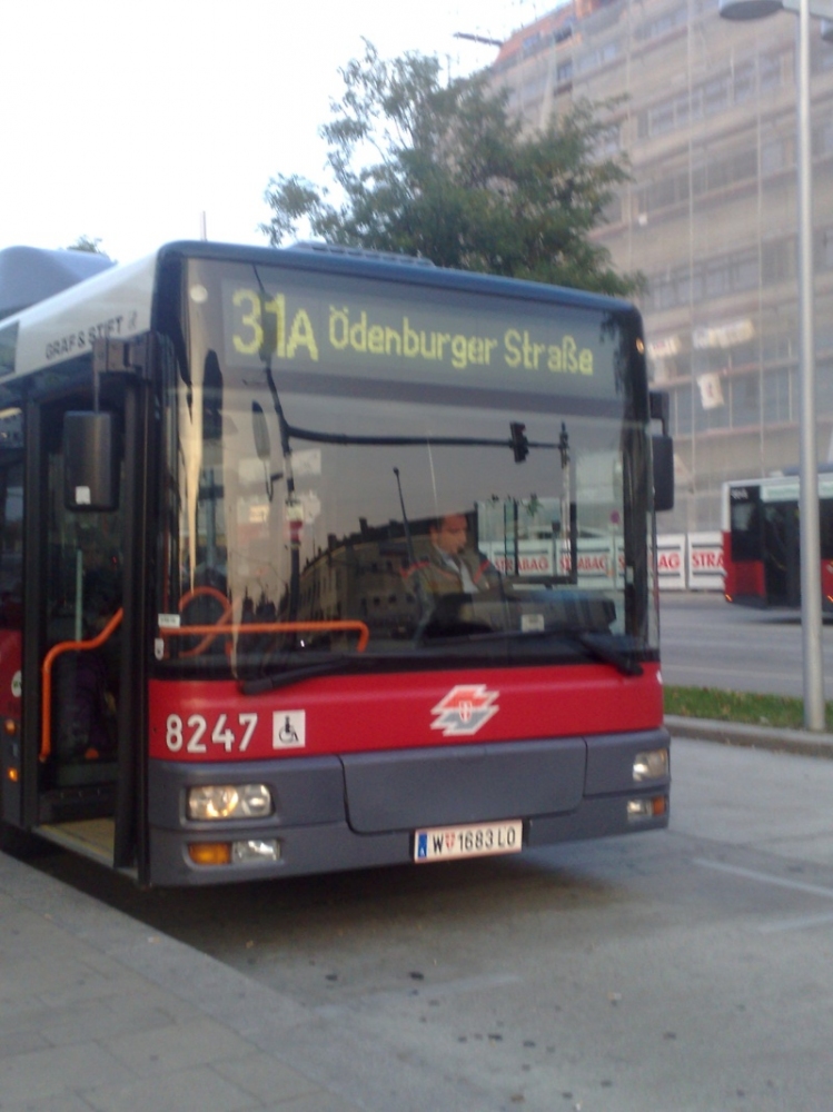 NG 243 8247-Linie 31A