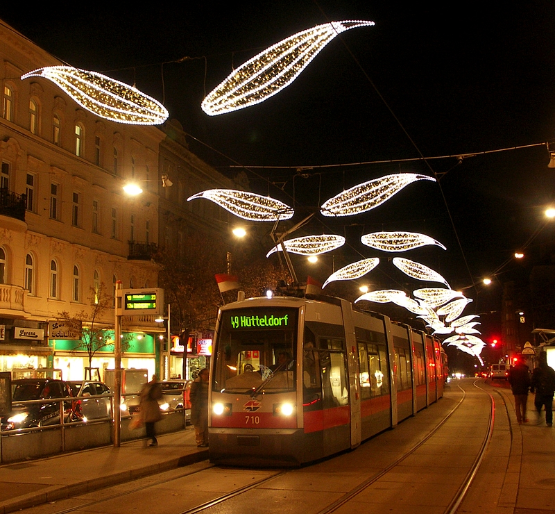 Weihnachtsbeleuchtg 2011-006