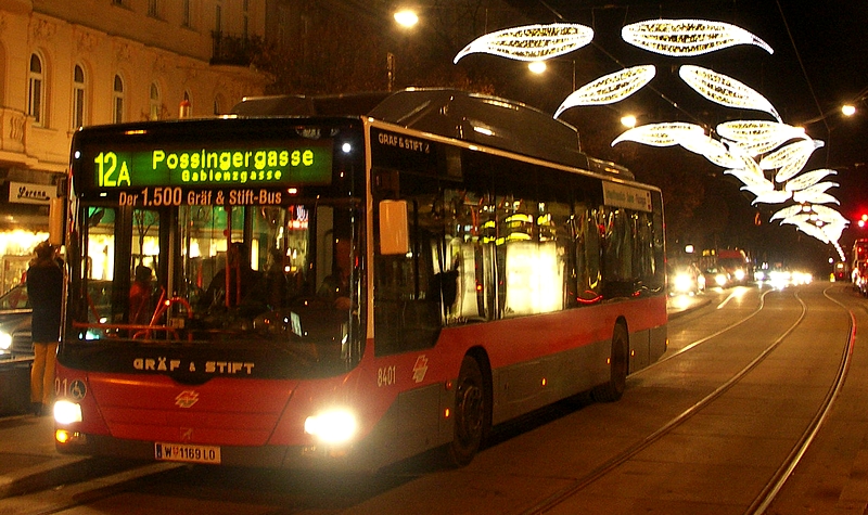 Weihnachtsbeleuchtg 2011-005