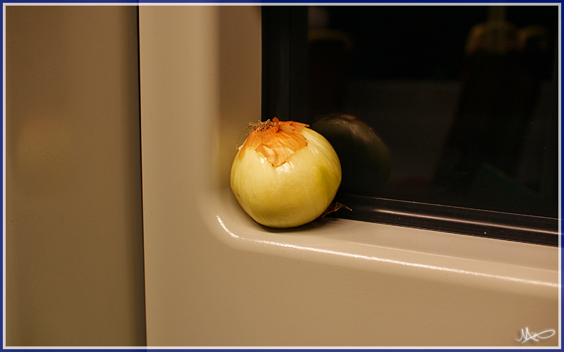 2012/01/11 | Zwiebel in einem ULF