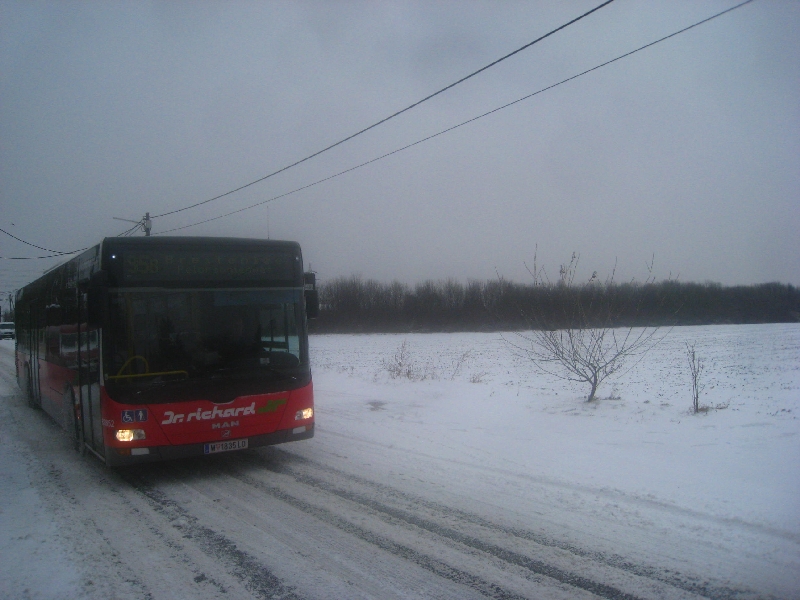 95B Korbweidenweg