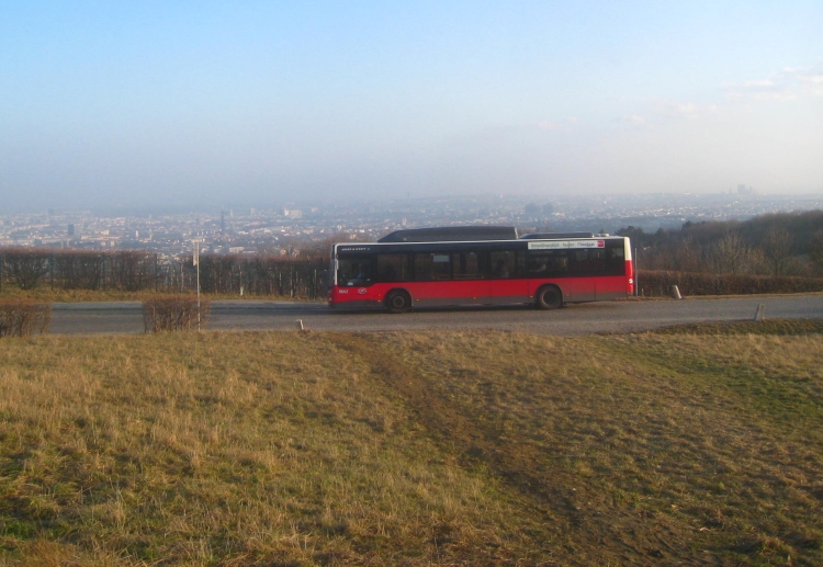 38A 10 Cobenzl Höhenstraße
