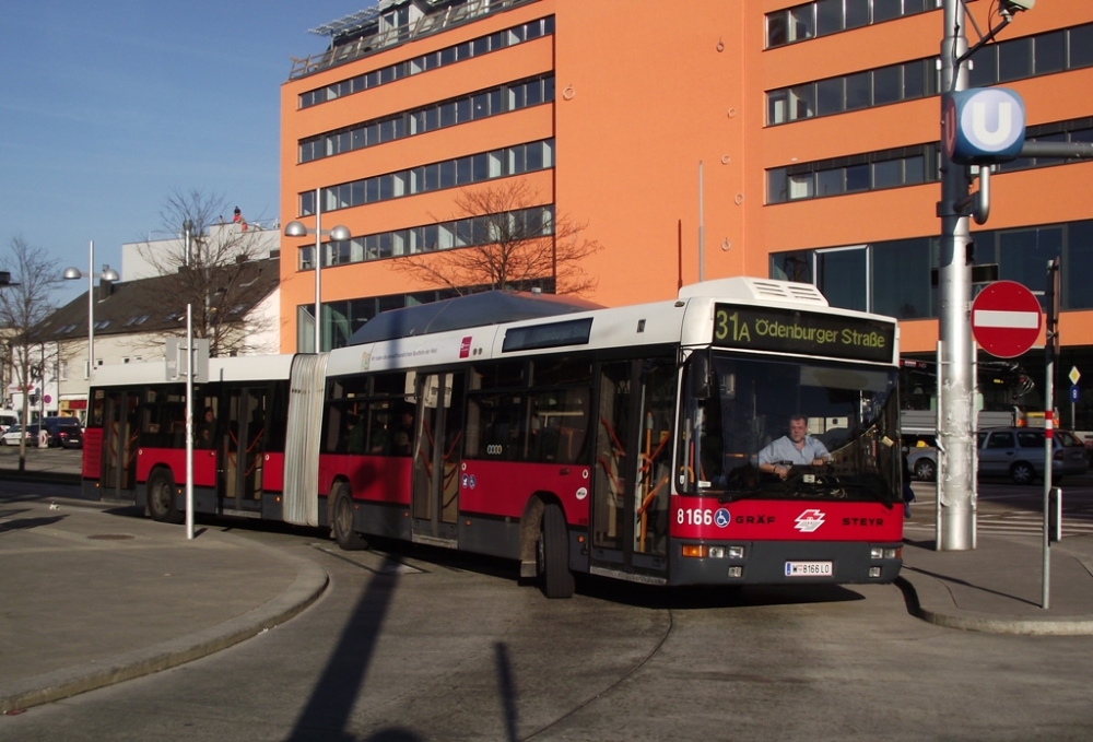 8166 - Linie 31A