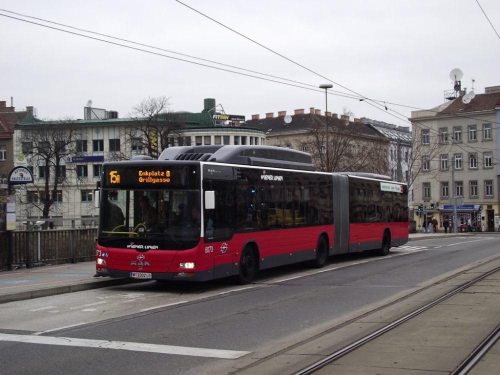 8073 - 15A