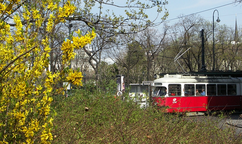 Frühling 001