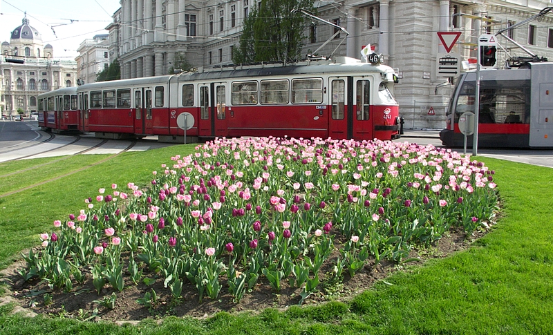 Frühling 009