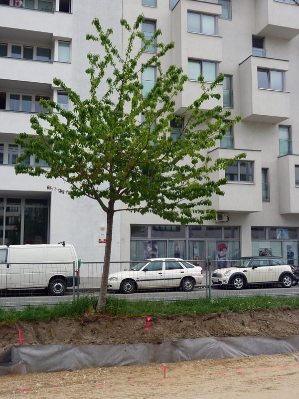Tokiostraße04