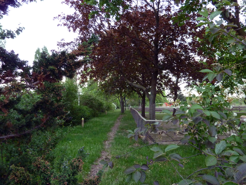 Oberfeldgasse04