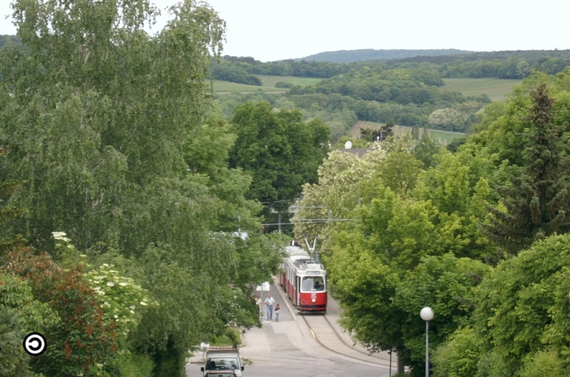 Voll im Frühling