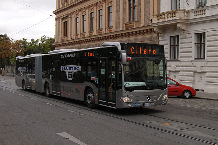 Bild 06