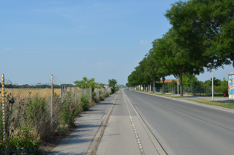 2012-06-19 _ Bauarbeiten 26neu Süßenbrunner Straße