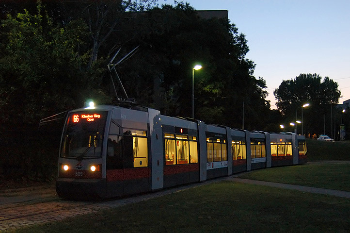 609 (66)