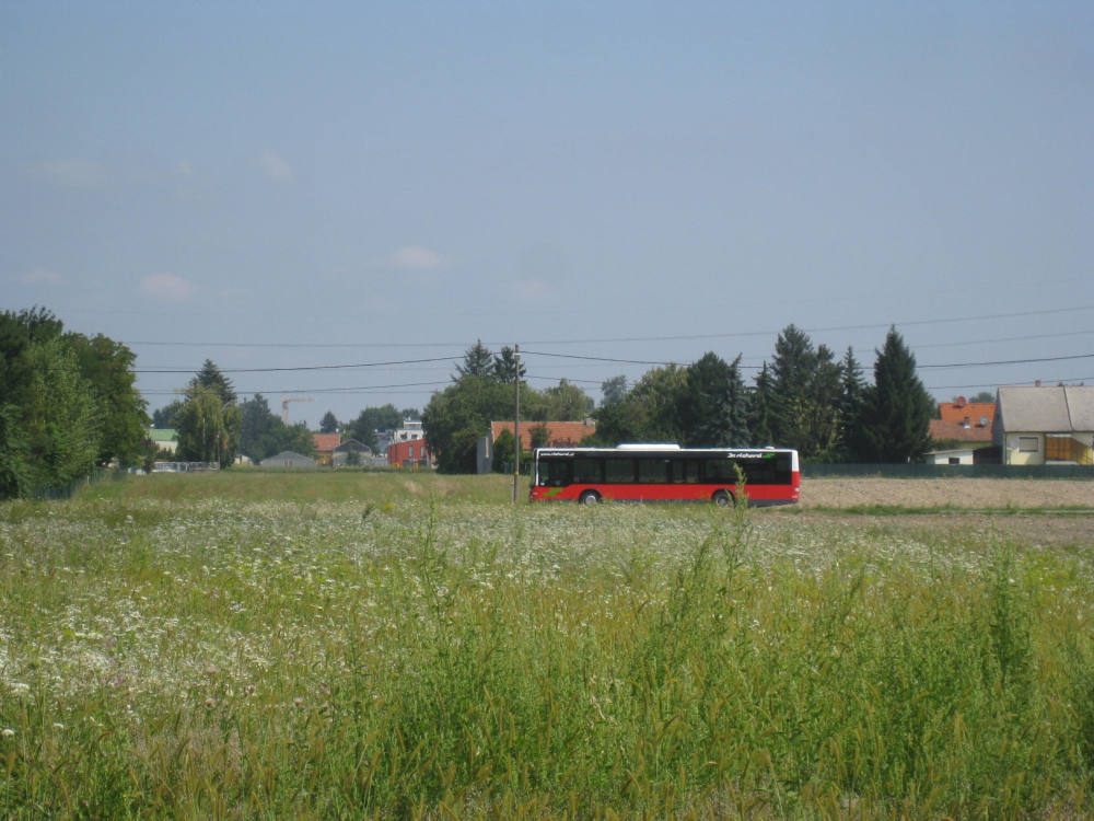 93A Brockhausengasse