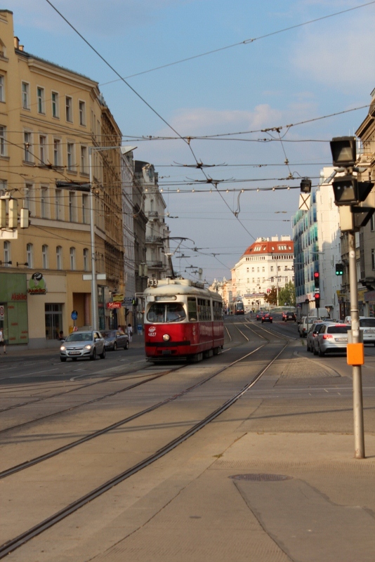 Urlaub zu hause in Wien