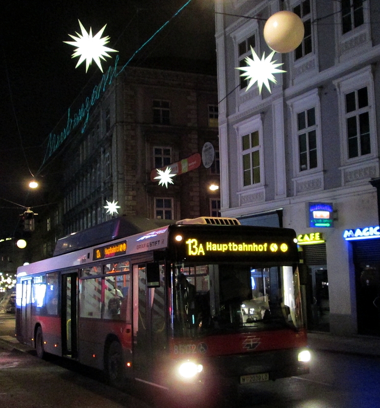 Weihnachtsbeleuchtg 2012-004