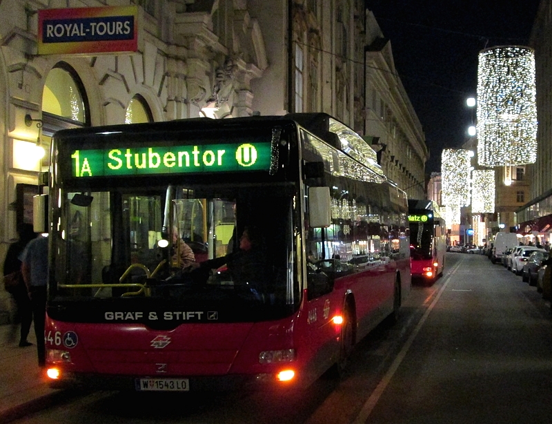 Weihnachtsbeleuchtg 2012-007