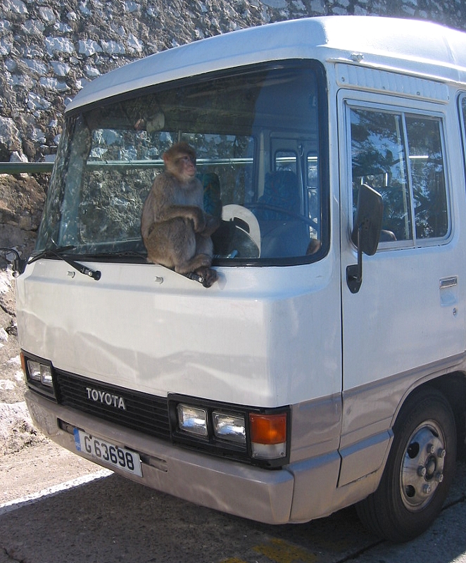 Gibraltar - 012