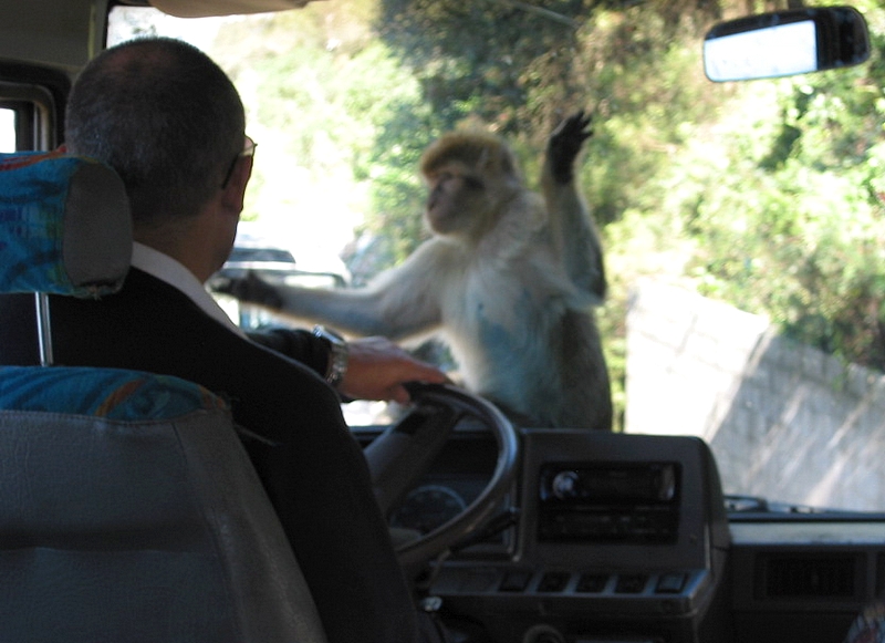 Gibraltar - 015