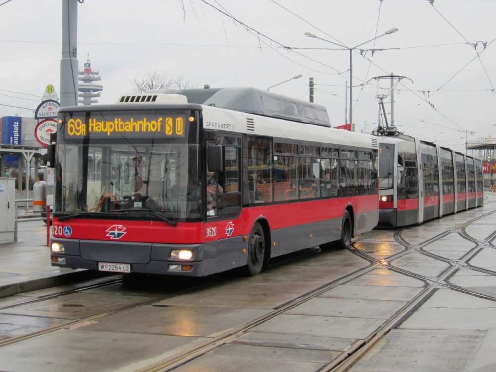 Nächstes Bild