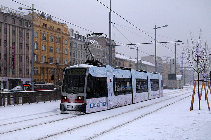 10 (Maxima) - Bild 01