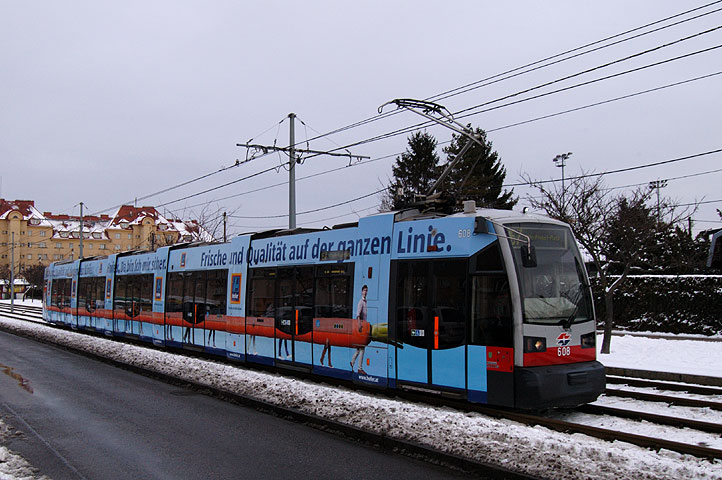 608 (Hofer) - Bild 01