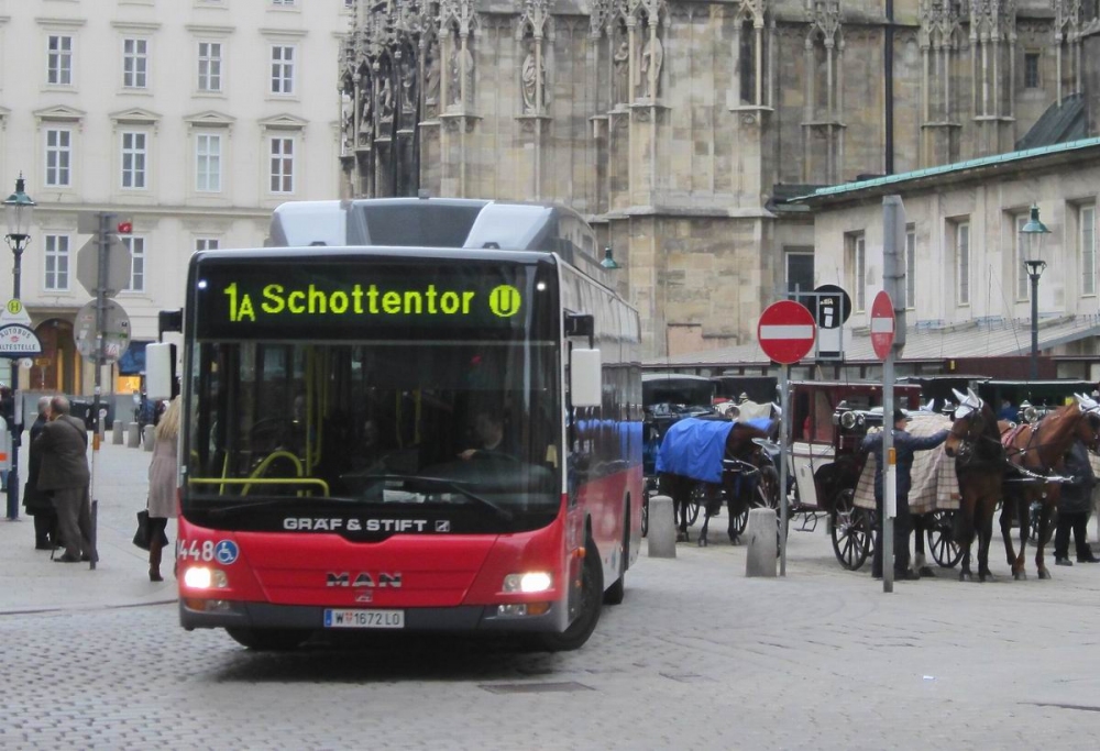 Nächstes Bild
