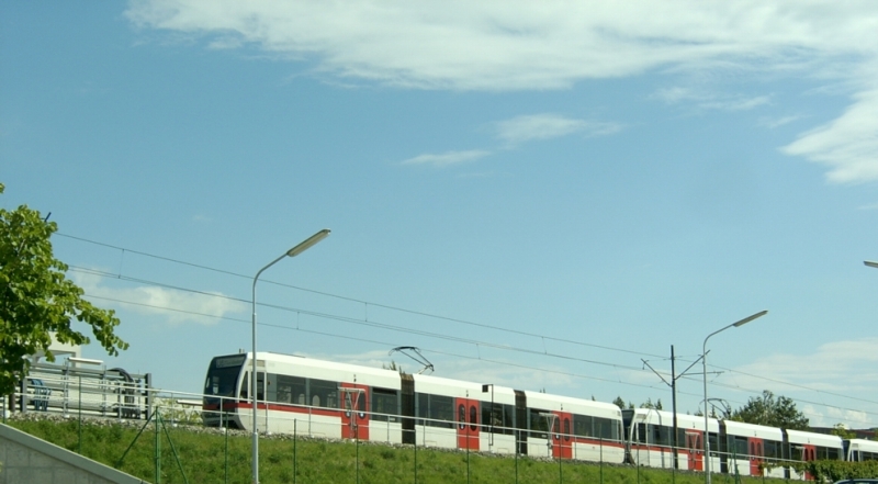 U6 Ts