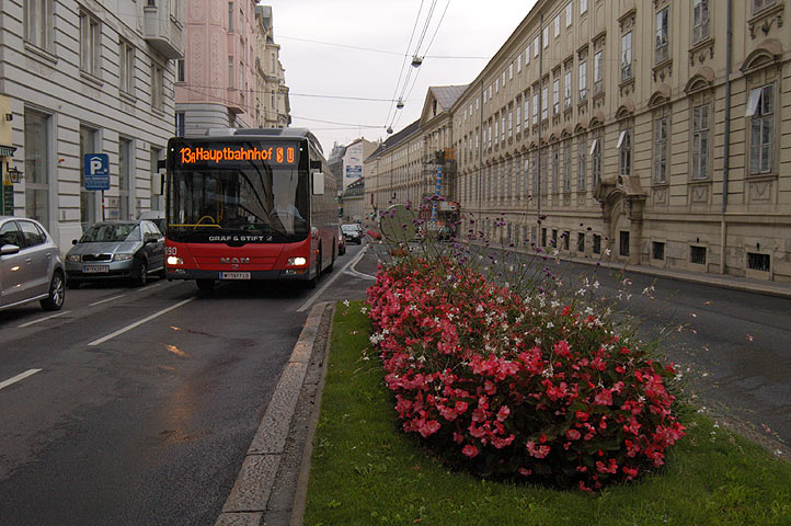 Bild 06