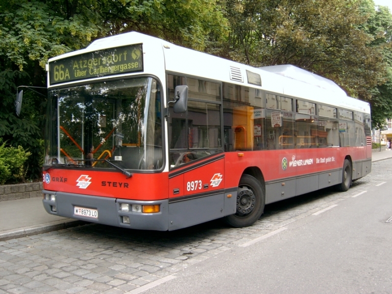 66A 8973