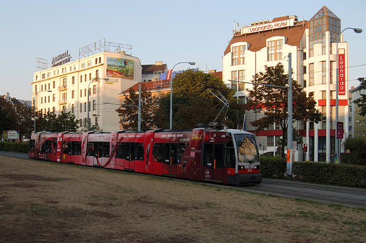606 (Brustgesundheit VI) - Bild 02