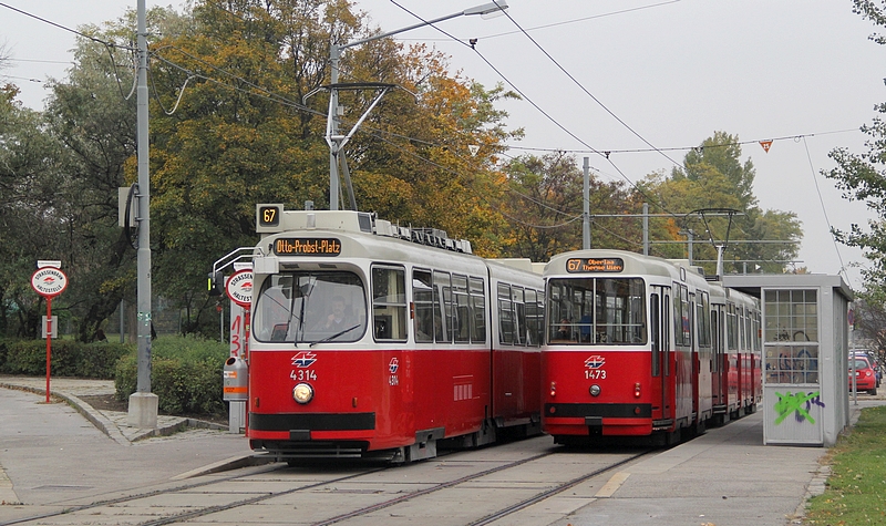 Herbststimmung 006