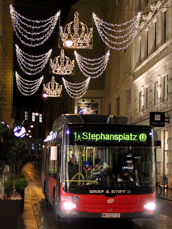 Weihnachtsbeleuchtg 2013-001