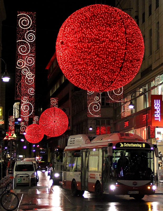Weihnachtsbeleuchtg 2013-003